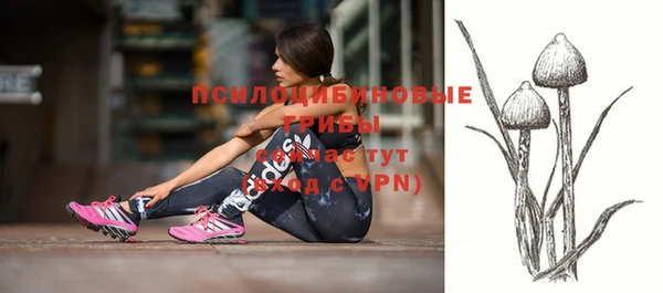 СК Рославль