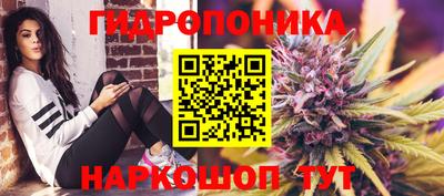 каннабис Камышлов