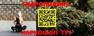 каннабис Камышлов